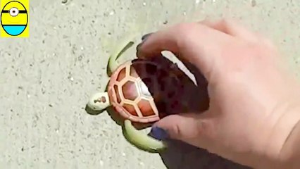 Toys review toys unboxing.