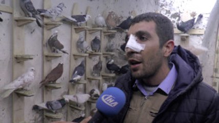 Ameliyattan Çıkar Çıkmaz Güvercinlere Koştu