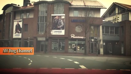 Driving to the Lohne City in Germany