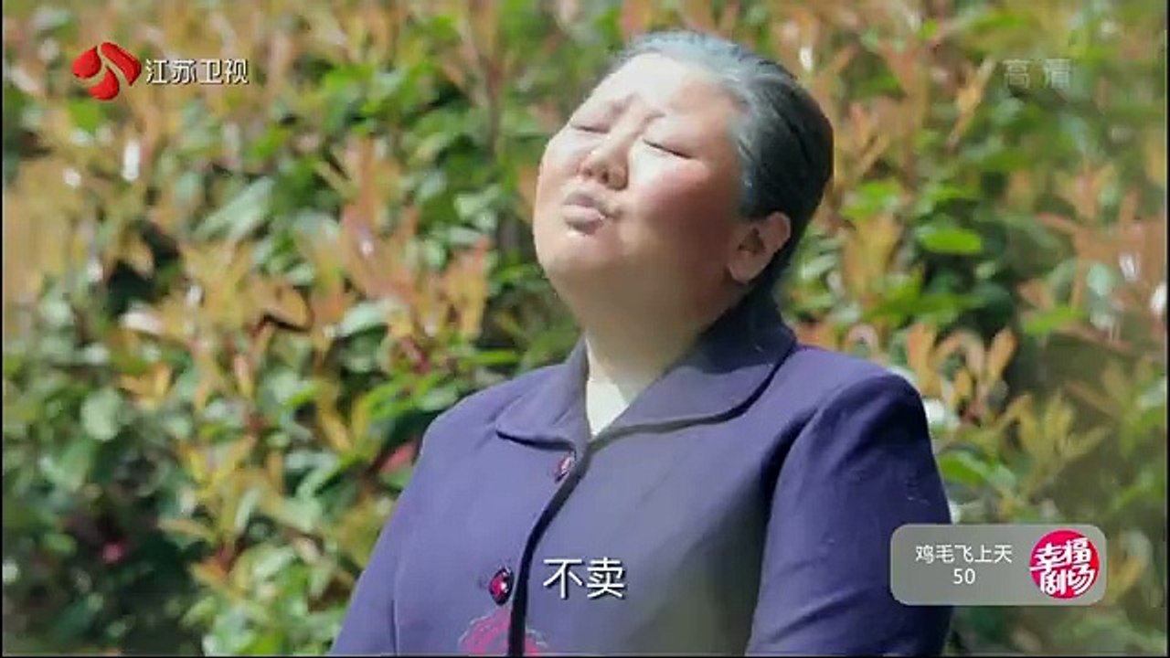 50 鸡毛飞上天 第50集
