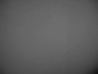 autoportrait