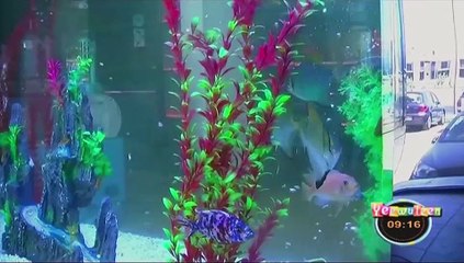 RUBRIQUE MADE IN SENEGAL du 29 Mars 2017 avec X SIDE X dans Yeewu Leen