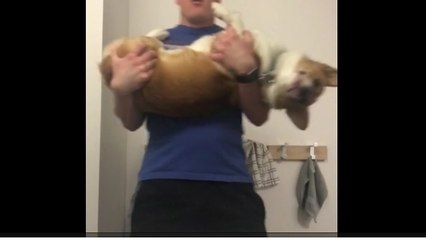 How to work out with your dog!