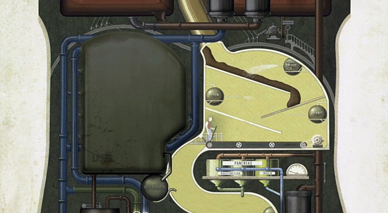 AMAZING DIGESTIVE AND REPRODUCTIVE HUMAN SYSTEM