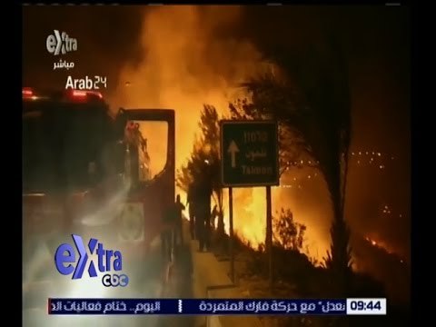 غرفة الأخبار | تواصل جهود رجال الإطفاء لإخماد الحرائق في الأراضي المحتلة