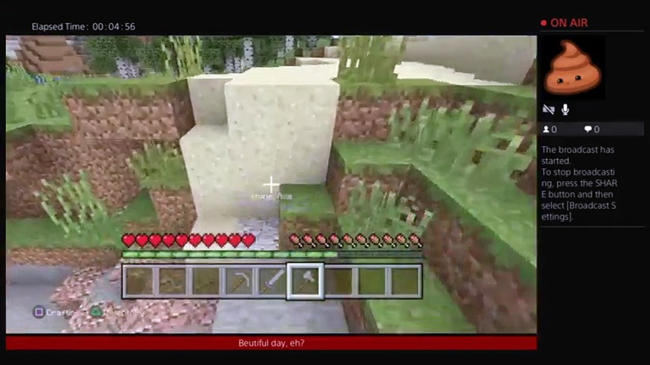 Minecraft hardcore (13)