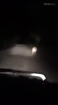 Un canguro sta correndo davanti alla loro auto, ma ad un tratto si volta e... Terrificante!