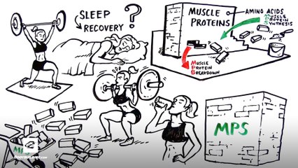 Micellar Casein Protein for Sleep Recovery | Ascent Protein