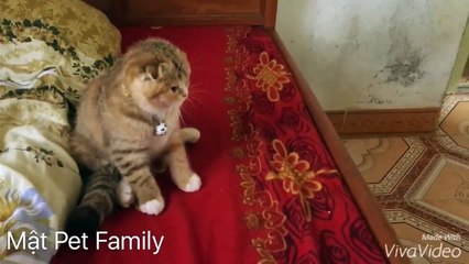 Mật solo Mi ^^ đánh nhau thế thôi chứ thân nhau lắm@@