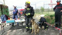 Tremblement de terre : exercice grandeur nature pour les sapeurs-pompiers franciliens