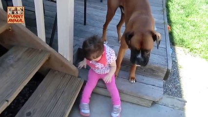 Dog Protecting Baby - Perro a bebé protección