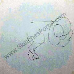 How to draw a Saint Bernard in 22 steps