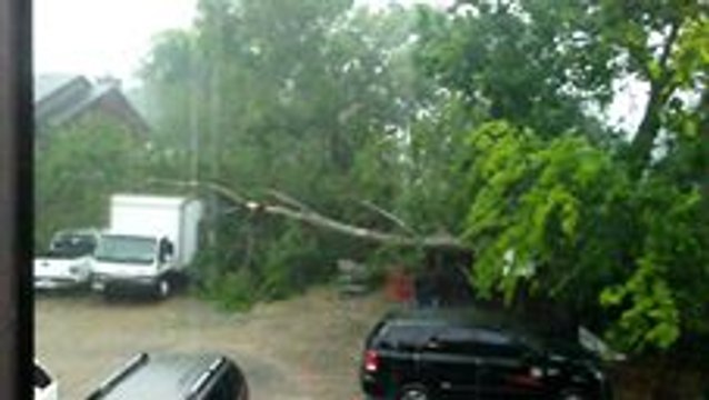 Severe Storms Knock Down Trees in Houston