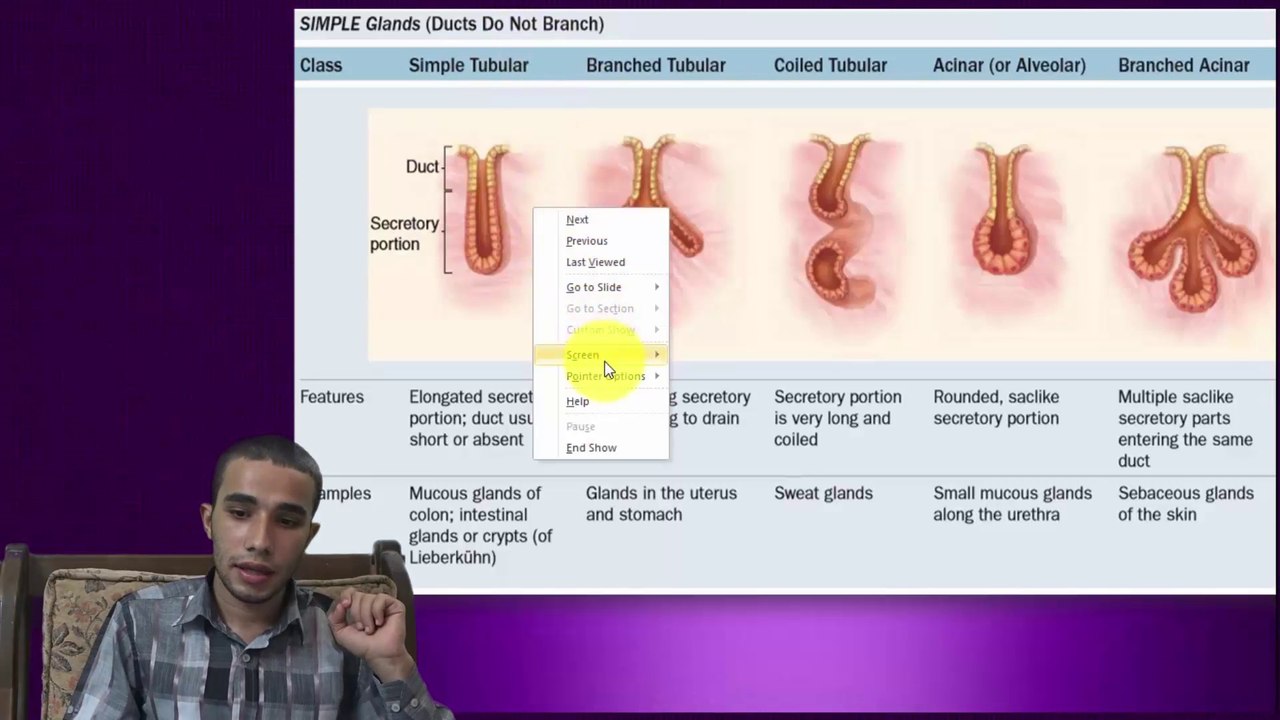 Glandular, myo & neuro epithelium  (2/3 Epithelium)