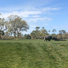 Télécharger la video: Giant Alligator Interrupts Golf Tournament in South Carolina