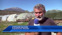 Hautes-Alpes : opération de gendarmerie mardi à la Micanelle près de Tallard. Le propriétaire très 
