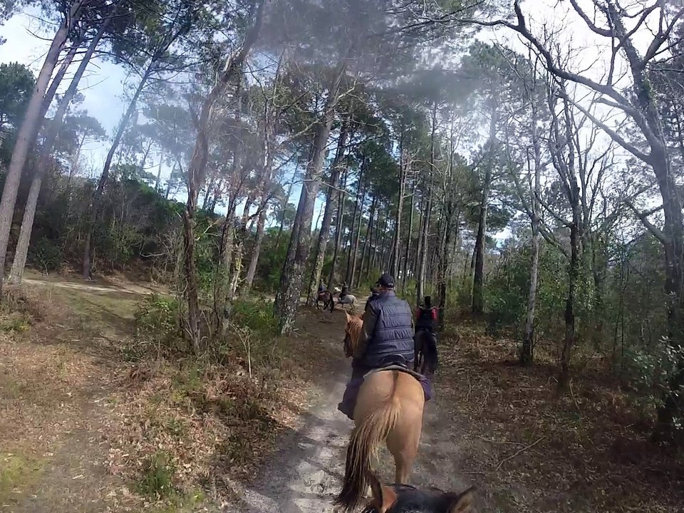 petit galop de chasse Mars 2017