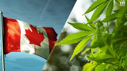 Recreational Marijuana Set To Be Approved In Canada