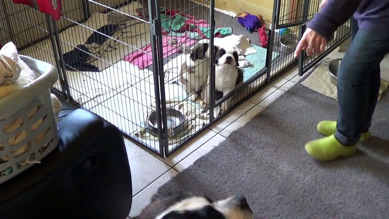 A la tétée 2017-03-29