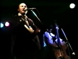 Go Cat Go Gone Gone Gone