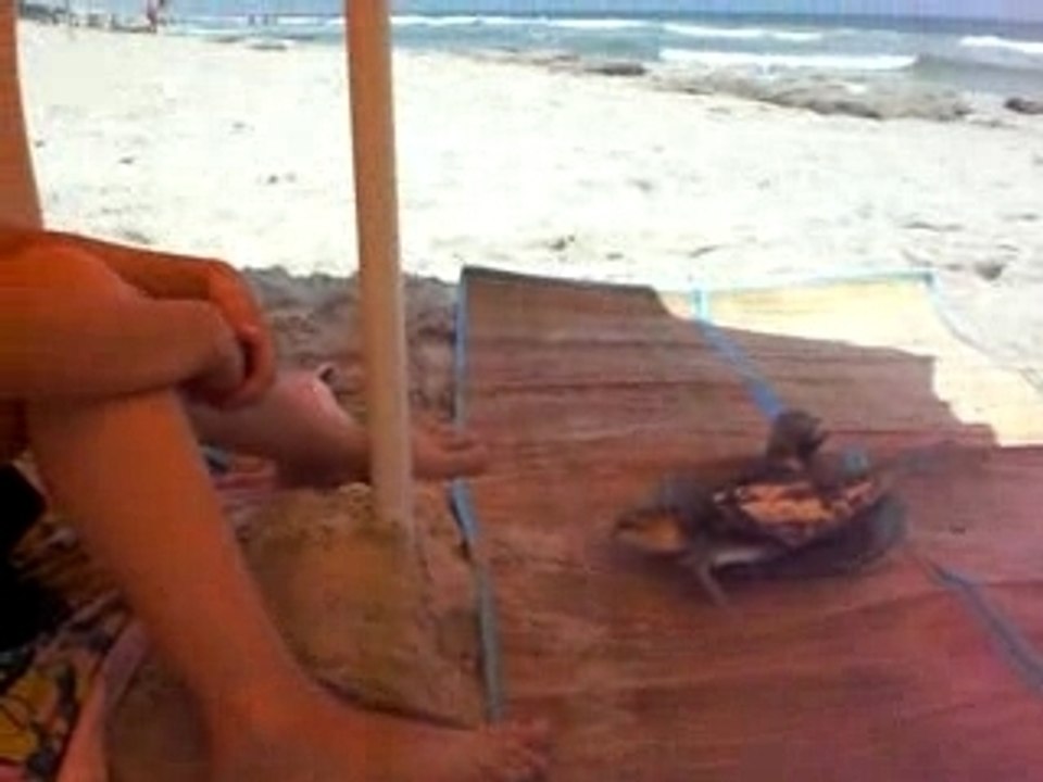 Jaw 3al chot, 7out mischwi wel harissa