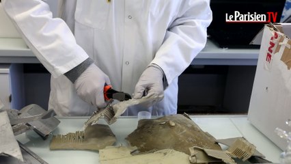 Dans le labo des douanes