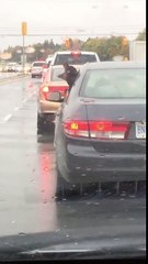 Dog tries to eat  the Rain drops