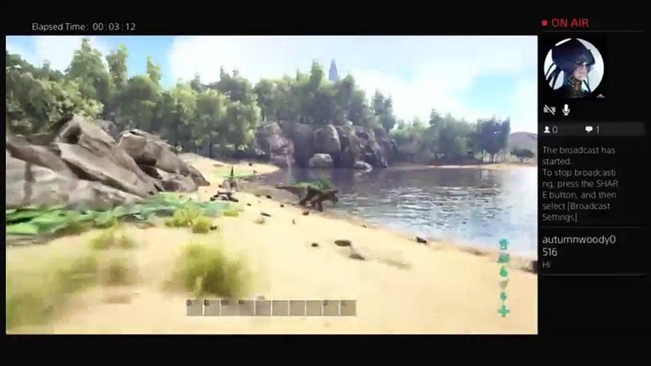 Ark (31)