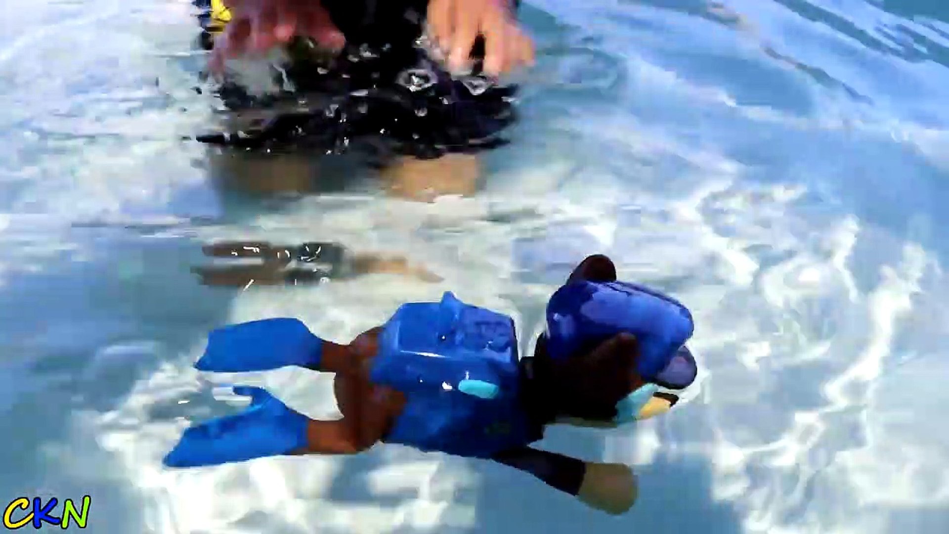 Paw Patrol Party Underwater Toys Ckn - video Dailymotion