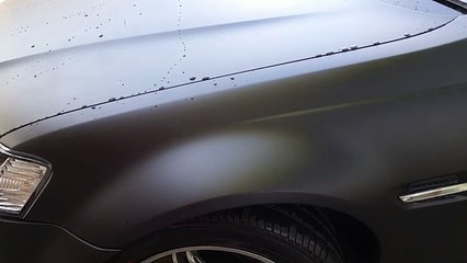 Holden VE Matte Black Ute