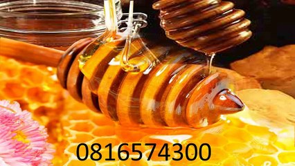 0816574300 Jual Madu Anak Halmahera Timur