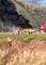 Peruvian Airlines Plane Catches Fire on Landing at Jauja Airport
