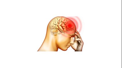 0816574300 Jual Madu Anak Pulau Taliabu