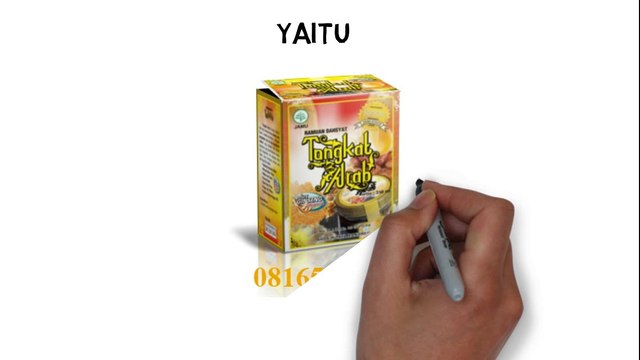tongkat arab obat kuat alami