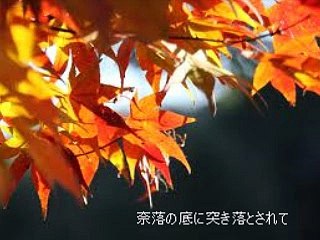 最後の恋 I'll Never Fall In Love Again (トム・ジョーンズ Tom Jones) / 訳詞初稿 Sima