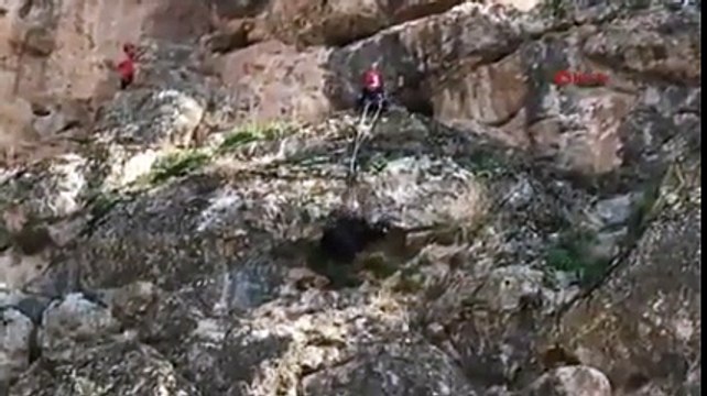 İtfaiyeden keçi kurtarma operasyonu