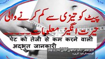 How To Lose Belly Fat -- Weight Loss tips -- in Hindi - Urdu -- موٹاپے کے لیے ٹوٹکے - Dailymotion