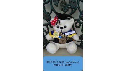 0812-9526-6220 - Boneka wisuda Palembang - Grosir Boneka wisuda - Pusat boneka wisuda