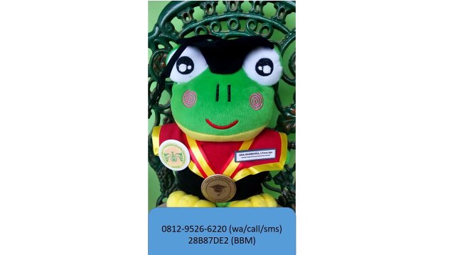 0812-9526-6220 - Boneka wisuda Palu - Grosir Boneka wisuda - Pusat boneka wisuda