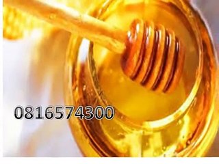 0816574300 (Indosat ) Distributor Madu Anak Bintan