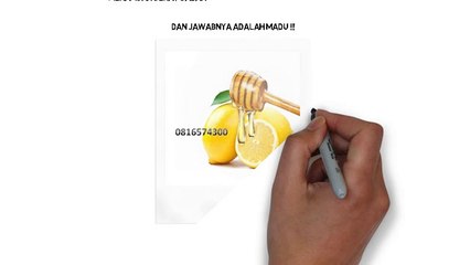 0816574300 (Indosat ) Distributor Madu Anak Kota Pekanbaru