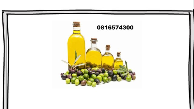 081-657-4300 (Indosat) Jual Minyak Zaitun Garut