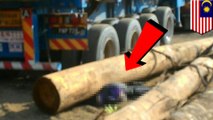 Malaysian man crushed by logs in workplace mishap