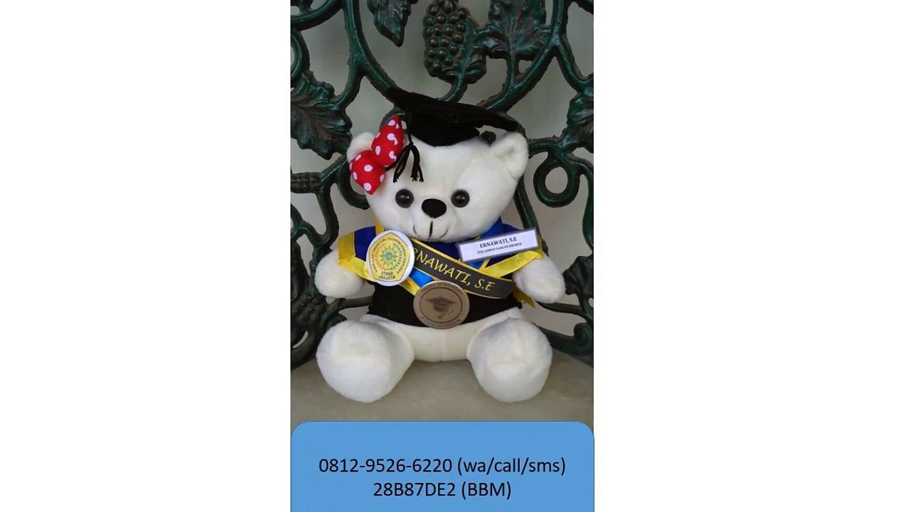 0812-9526-6220 - Boneka wisuda Padang - Grosir Boneka wisuda - Pusat boneka wisuda_2