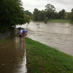 Brisbane Creeks Overflow With Floodwaters
