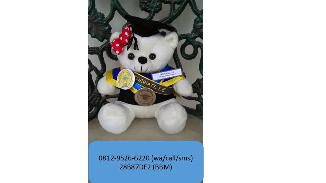0812-9526-6220 - Boneka wisuda Pekalongan - Grosir Boneka wisuda - Pusat boneka wisuda