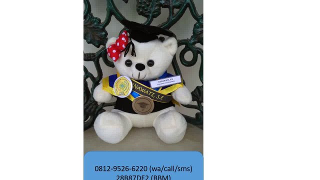 0812-9526-6220 - Boneka wisuda Jambi - Grosir Boneka wisuda - Pusat boneka wisuda