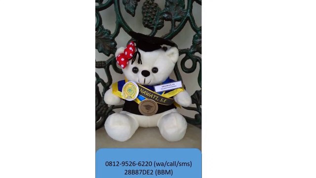 0812-9526-6220 - Boneka wisuda Sukabumi - Grosir Boneka wisuda - Pusat boneka wisuda