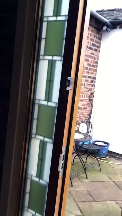 Ce jeune trisomique reçoit un très beau cadeau...Emouvant