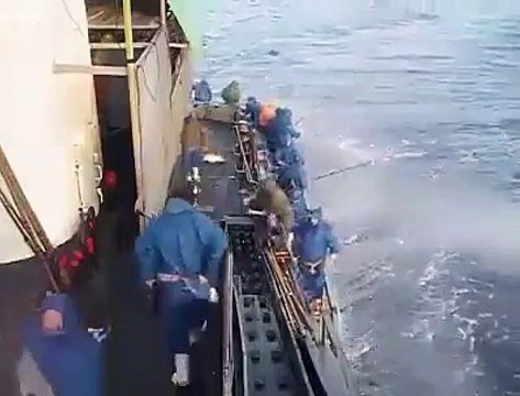 Partie de peche miraculeuse... Tellement de poissons!